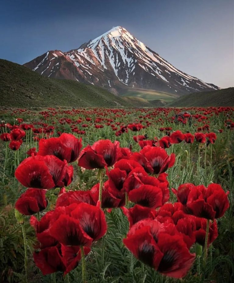 Breathtaking Landscapes of Northern Iran