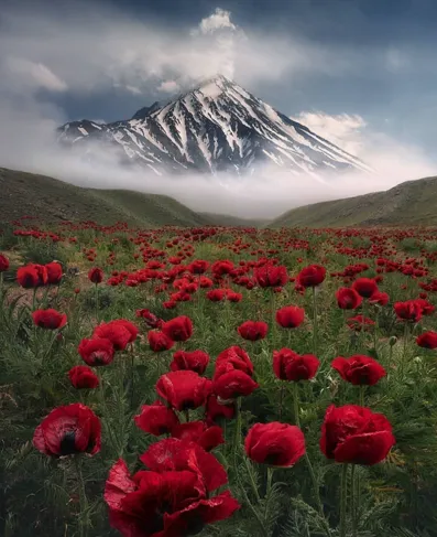 damavand moutain iran