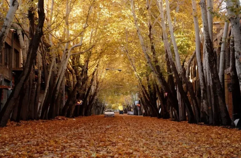 best southern cities for an autumn trip