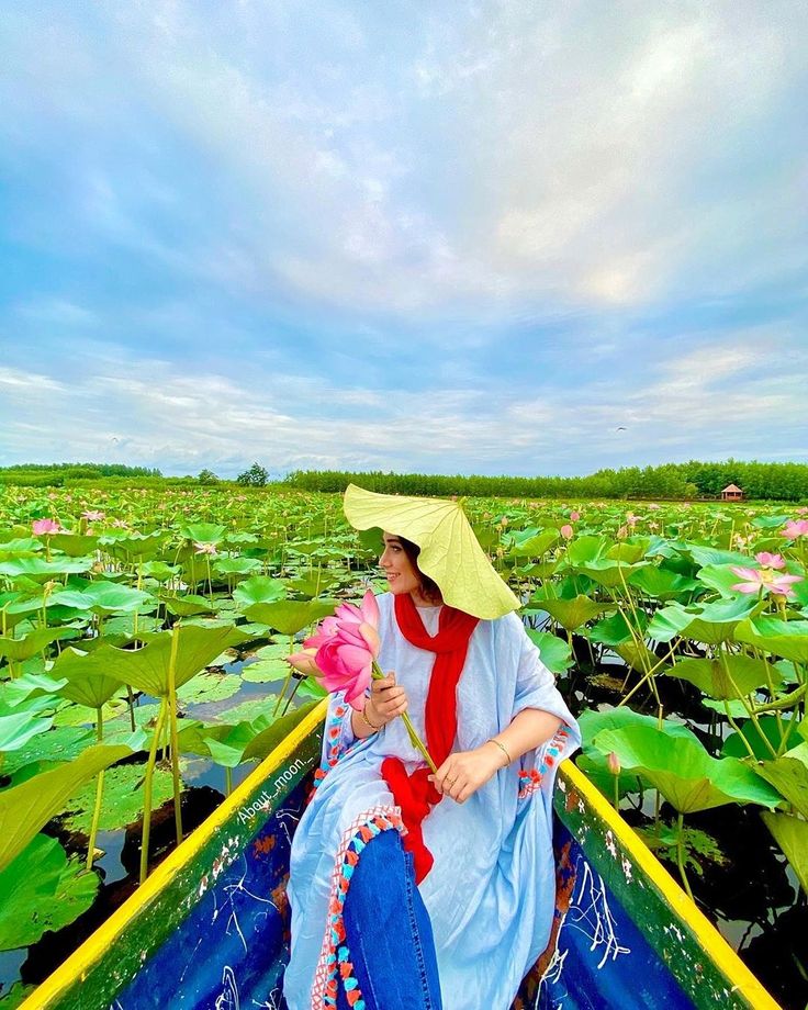 Wetlands