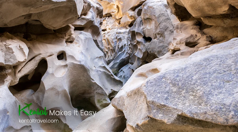 Qeshm Island Natural Wonders