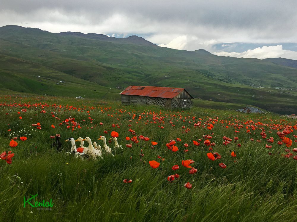 Top list of pilgrimage places in Iran