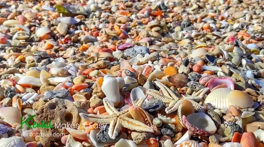 chamkhale beach- must-visit beaches in Iran