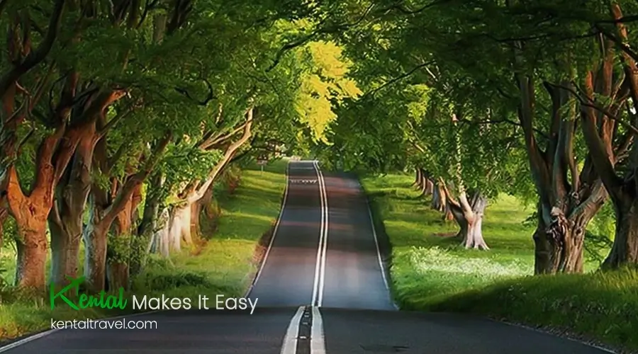 Gisoom Beach is one of the most beautiful beaches in Iran and