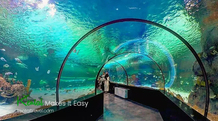 Entertainment and Leisure Activities in Isfahan