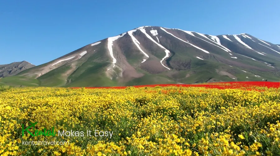 Sahand is the name of a mountain range in the south of Tabriz city