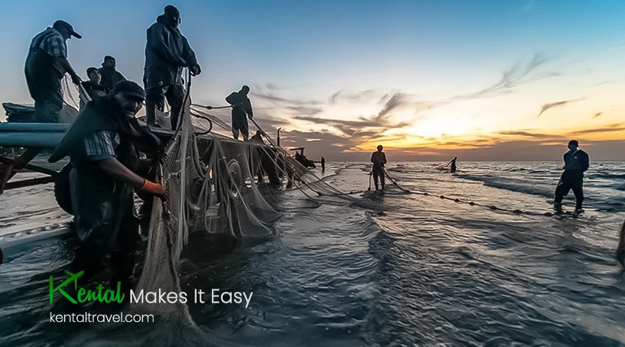 Fishery in the Caspian Sea